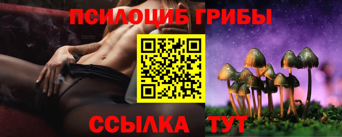 Галлюциногенные грибы Psilocybe  Псилоцибиновые грибы прущие грибы  Вход с VPN  Нерюнгри 